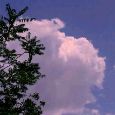 佩皮小镇医院游戏下载